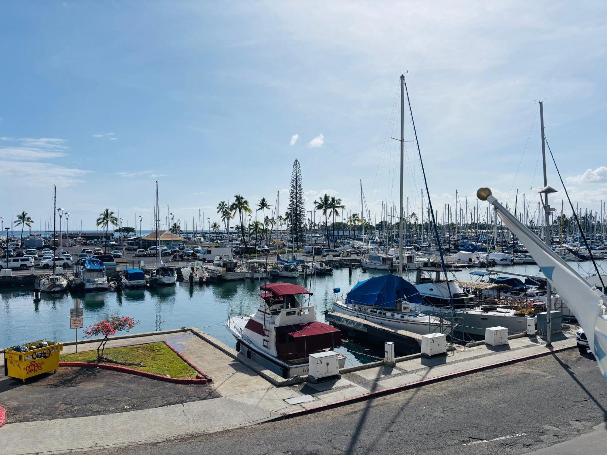 Ilikai Apt 308 - Spacious Studio With Stunning Ocean & Harbor Views Honolulu Eksteriør billede